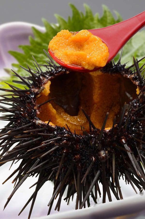 【静岡・新富士・三島発】 あわび2.5個分使用!鮑づくし会席と旬のうに三昧 きらめきの南三陸と初夏の絶景をめぐる旅3日間1